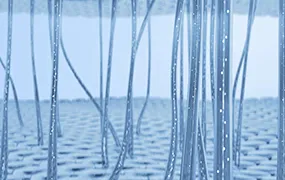 C4D神经传输分子结构精华神经网络08