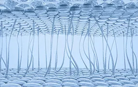 C4D神经传输分子结构精华神经网络09